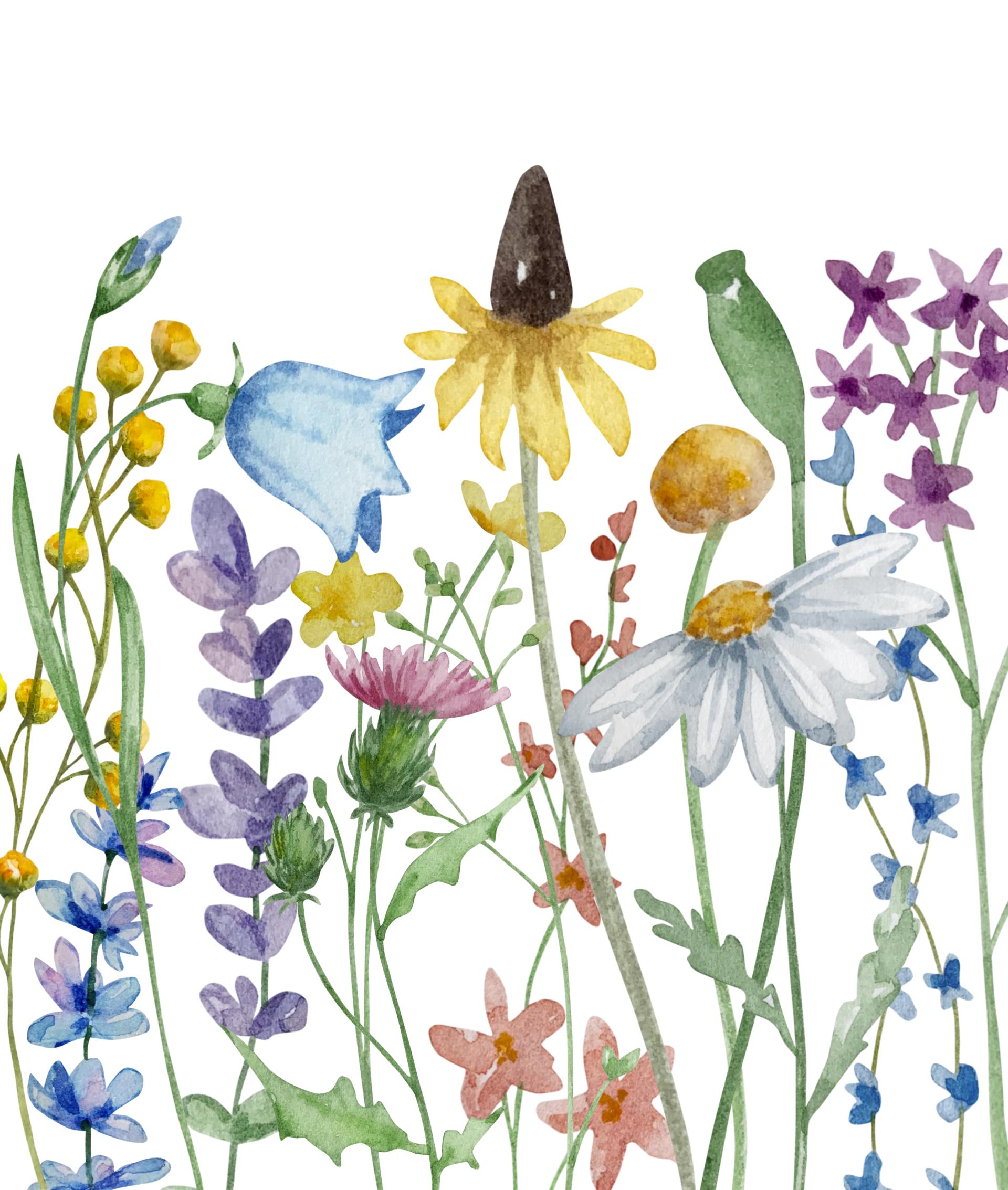 Zimmer Sommerwiese