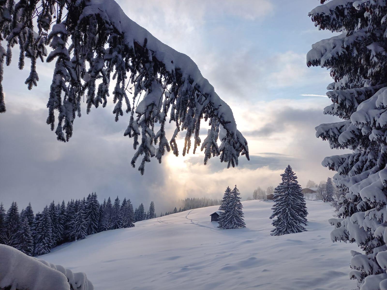 Winterlandschaft im Lermooser Moos