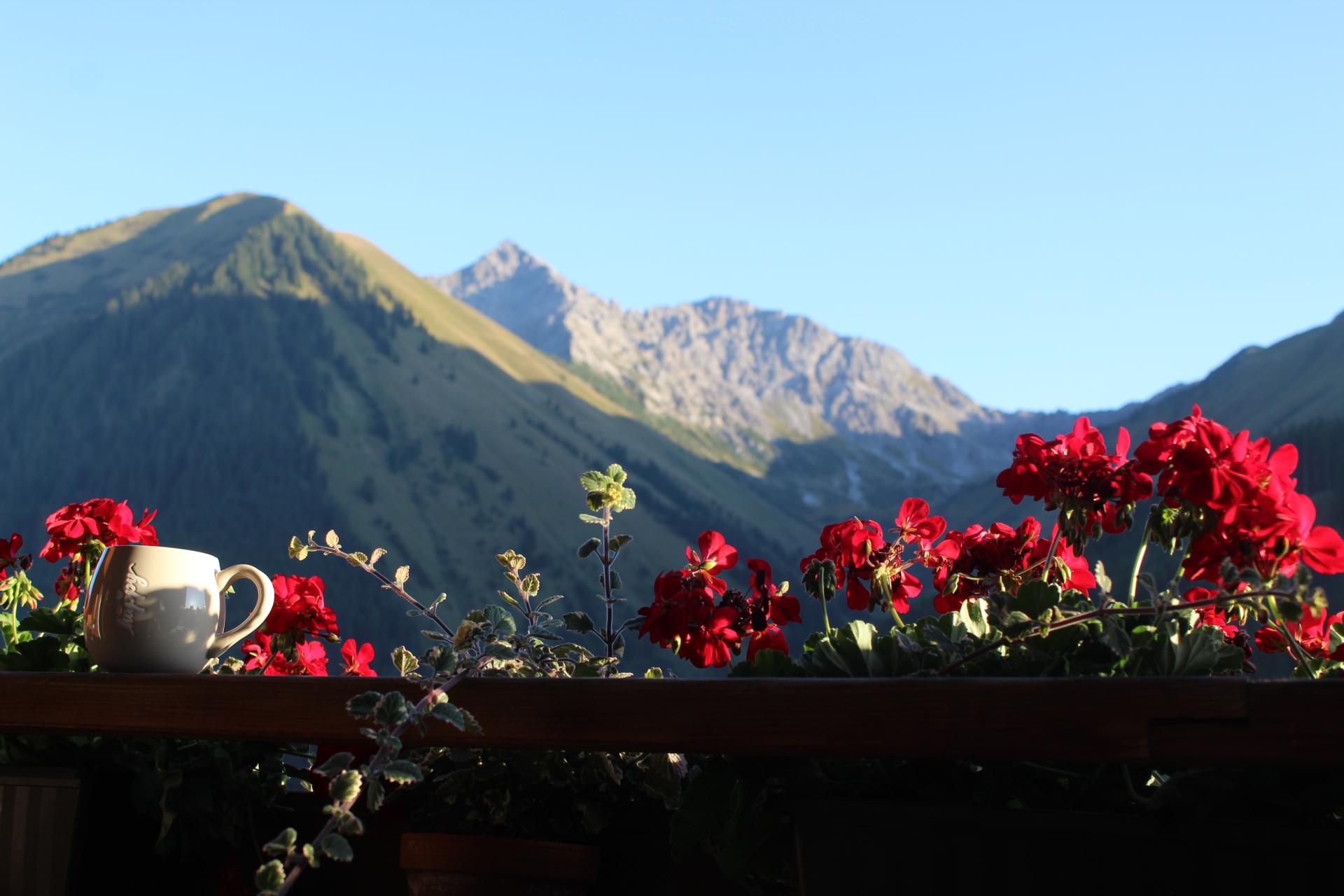 Geranien mit Bergblick