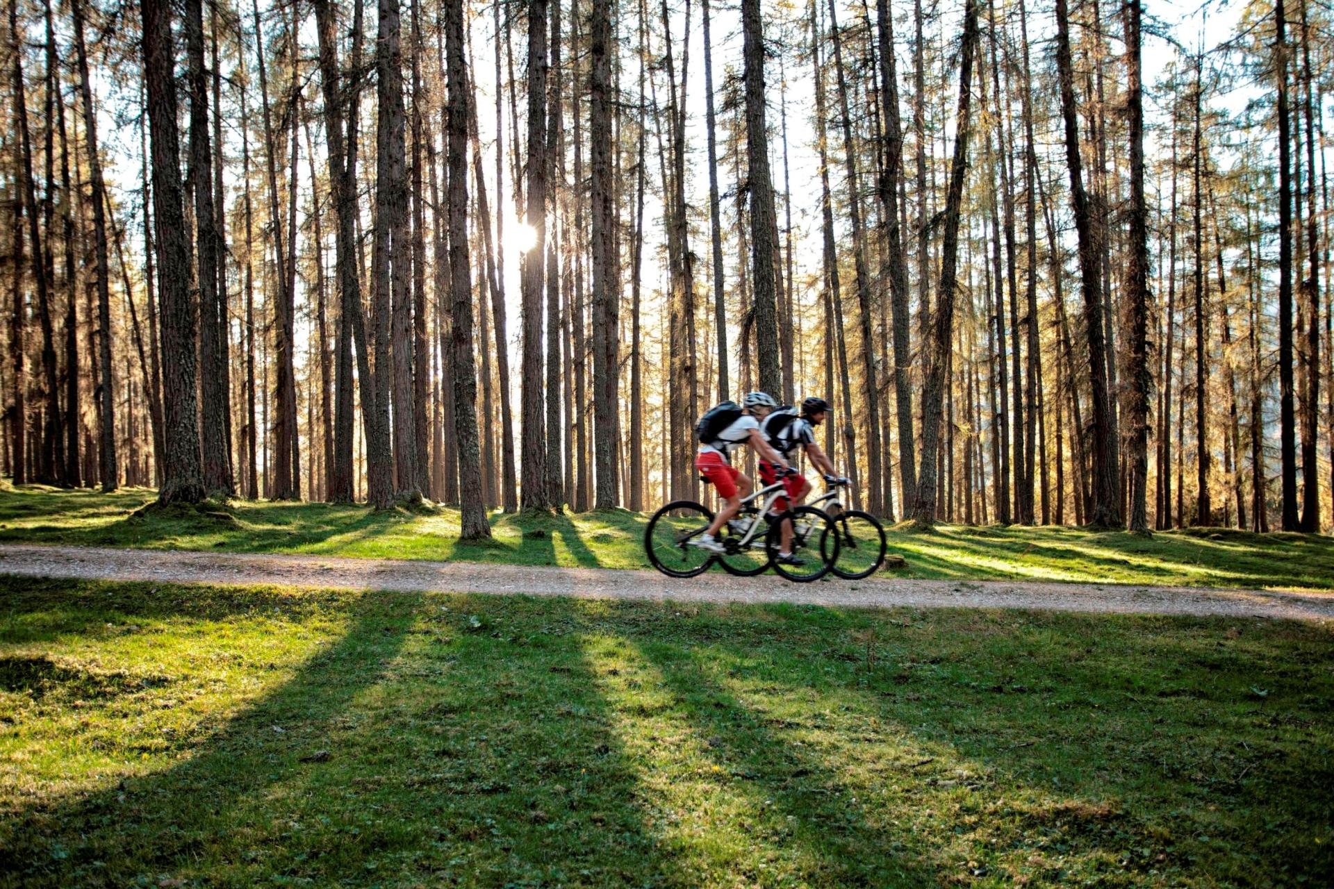 Mountainbiken in Ehrwald