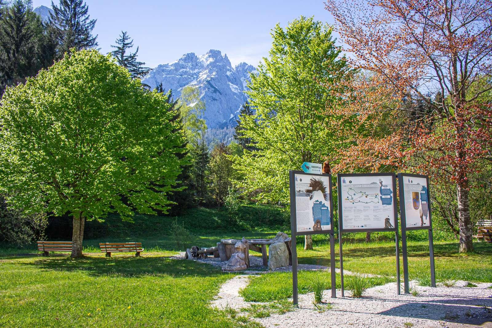 Biberpfad