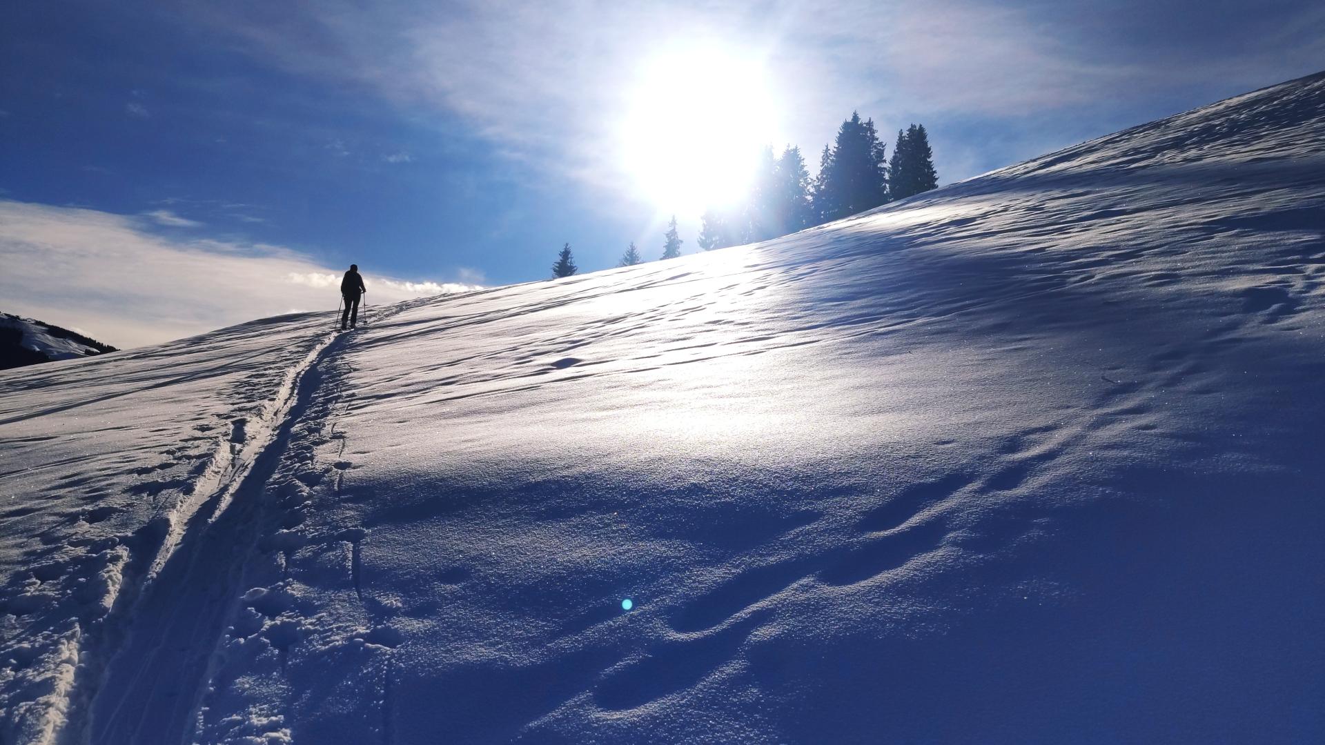 Aktiv in den Kitzbühler Alpen