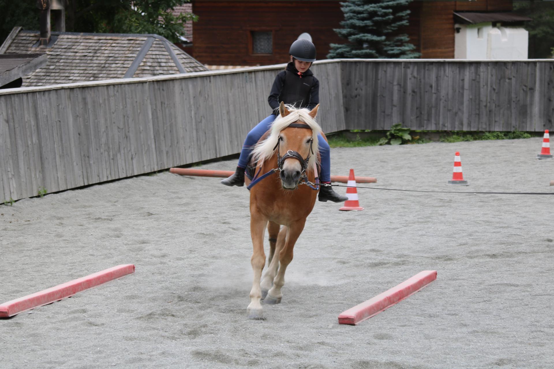 Reitunterricht Trab 