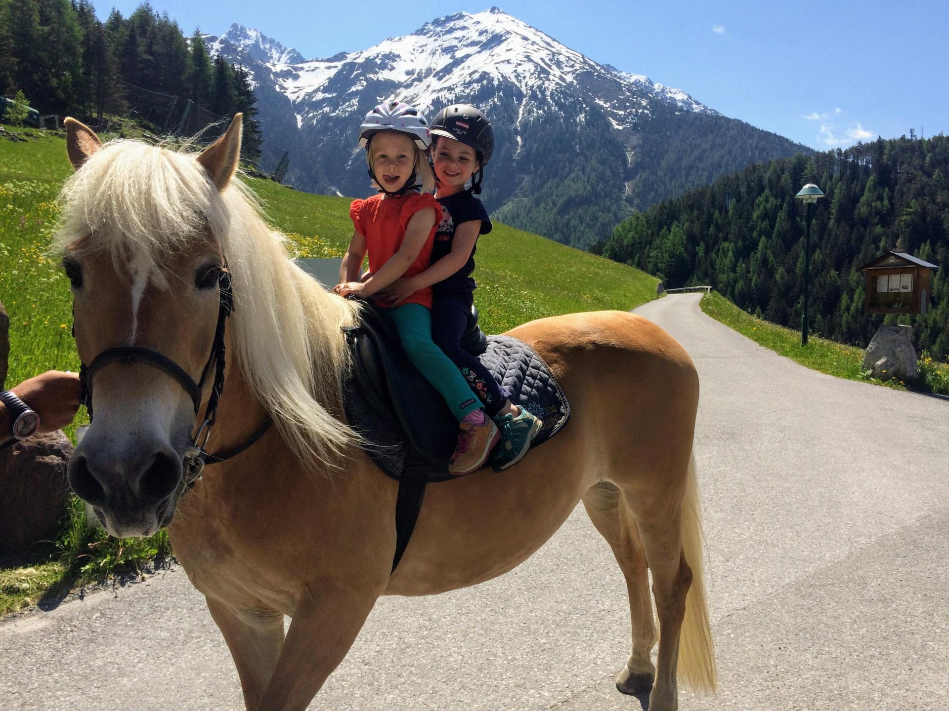 Kinder Haflinger Berge