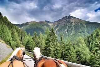 Riding Holiday in the Ötztal Valley