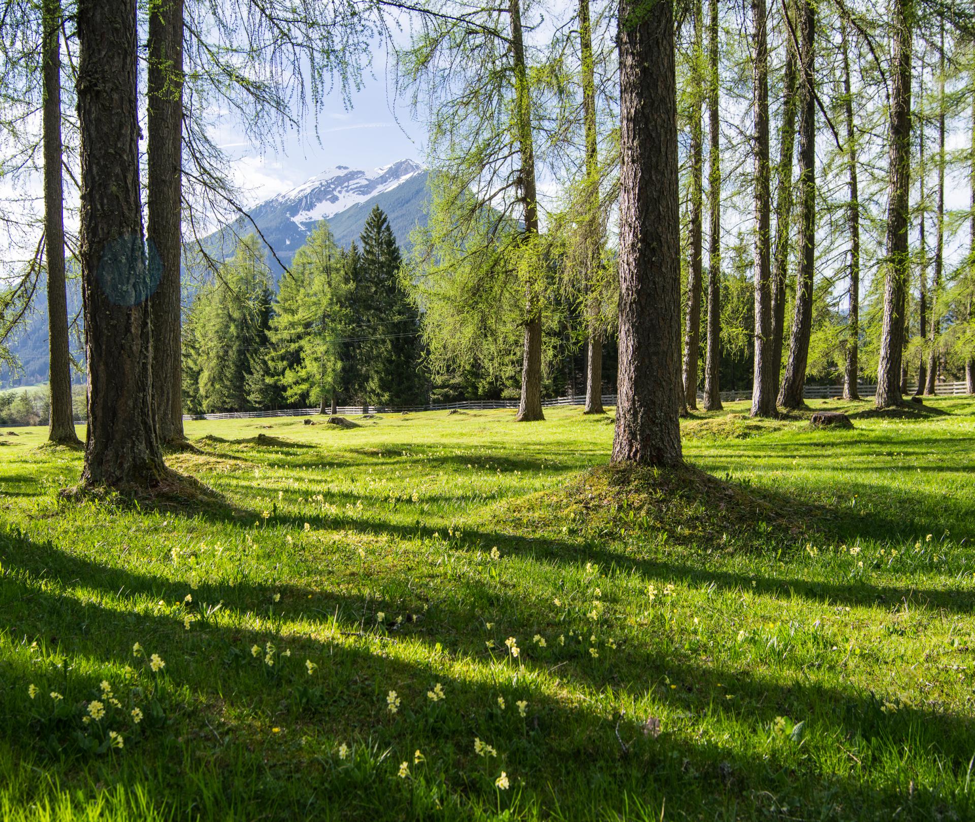 Kraftpl&auml;tze