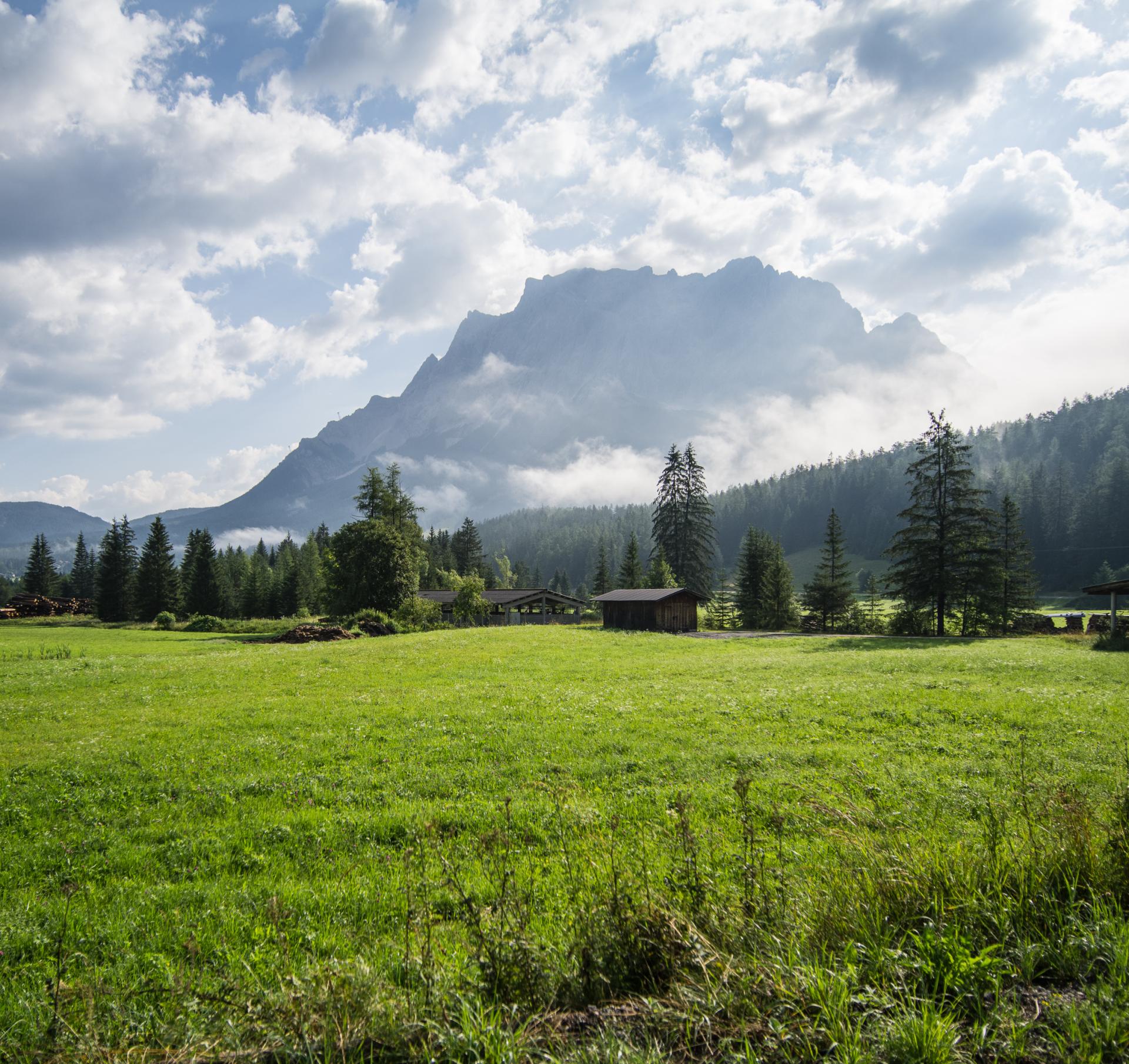 Das Ehrwalder Moos