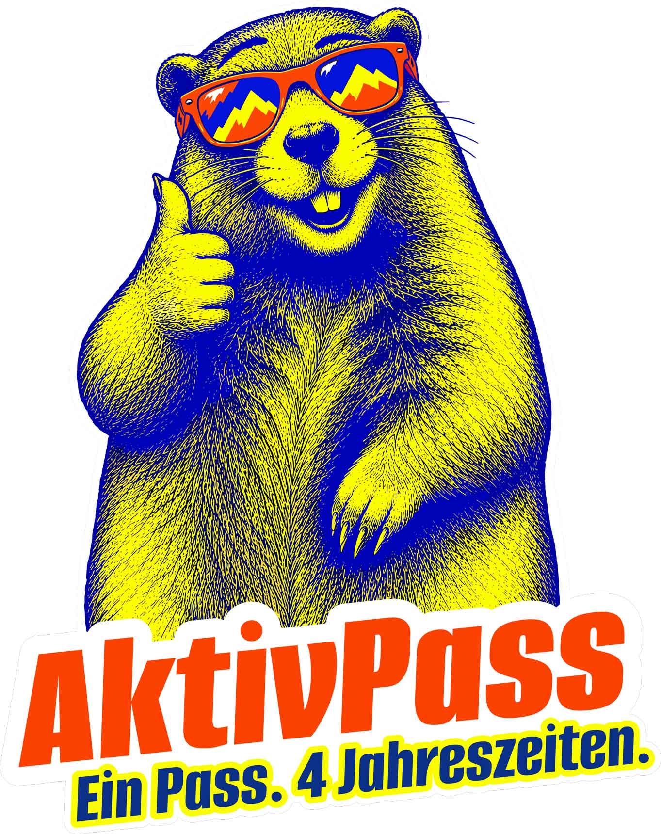 AktivPass der Tiroler Zugspitz Arena
