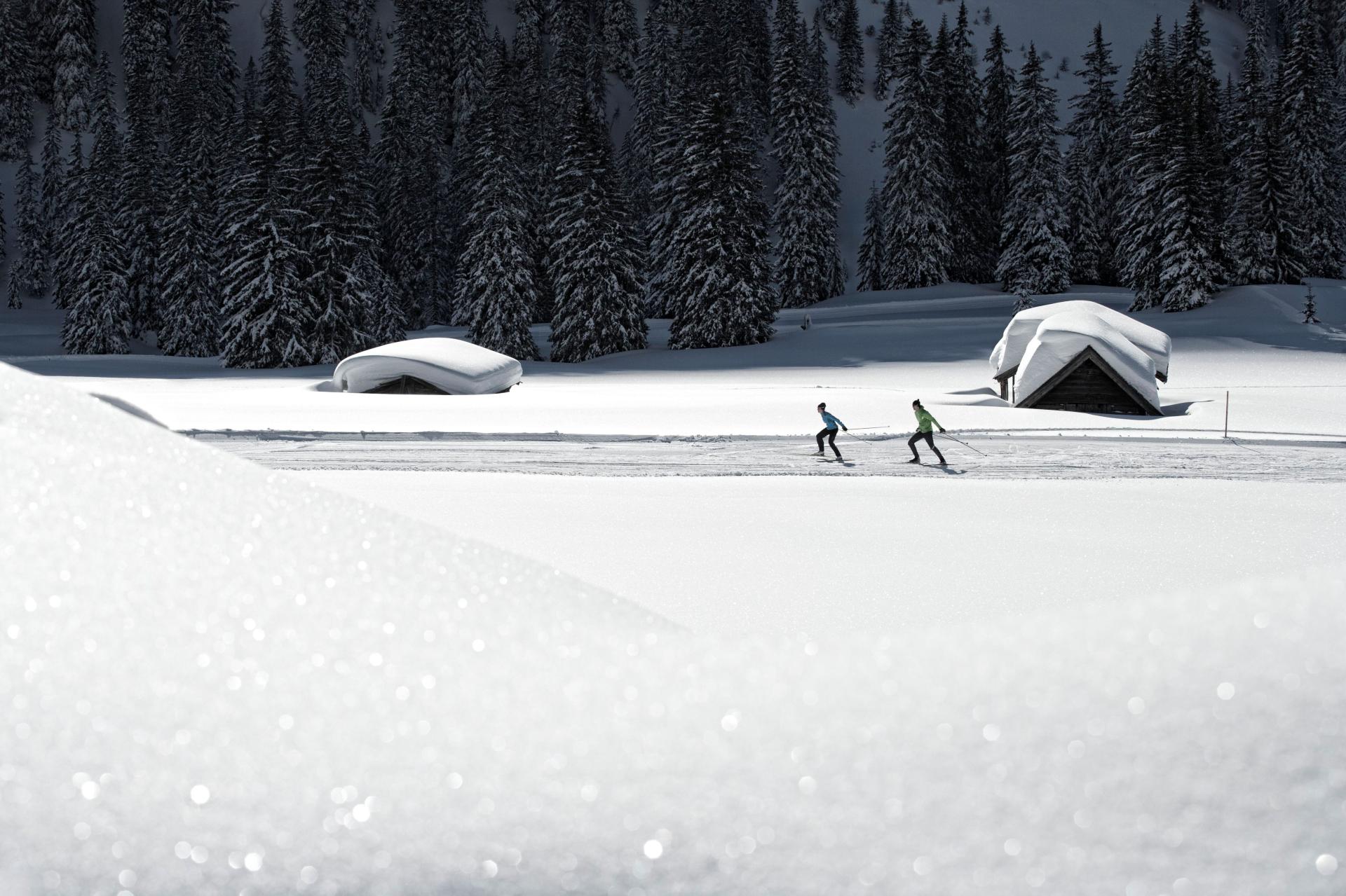 Bunte Wintervielfalt in der Tiroler Zugspitz Arena